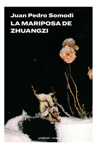 La Mariposa De Zhuangzi. Juan Pedro Somodi. Paripebooks