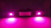 Comprar Lampara Led 100w Grow Cultivo Indoor Terrario Plantado