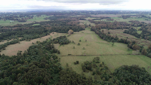 Hermoso Campo A 15 Km De Osorno