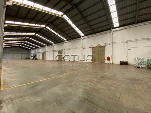 Comercial Galpão / Barracão - 303699-l