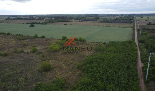 Campo En Venta - Marcos Paz Limite Con 20 De Junio