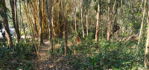 Imagem 8 de 15 de Lote / Terreno Em Nogueira - Petrópolis - 5008
