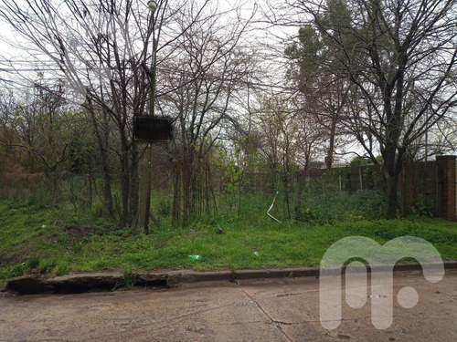 Imagen 5 de 6 de Venta Terreno - La Plata