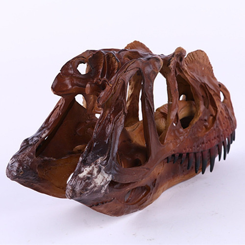 2 Piezas 1/3 Modelo De Resina Dilophosaurus Cráneo Fósil
