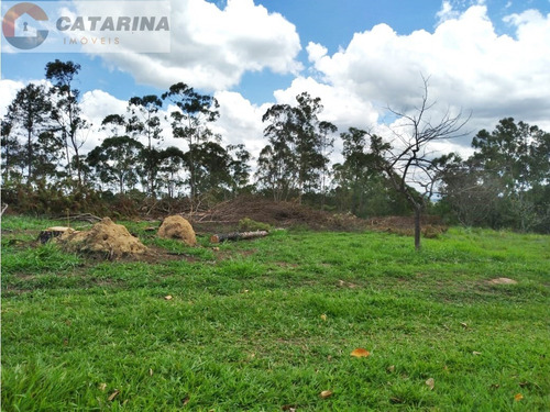 Imagem 3 de 5 de ***lançamento***
