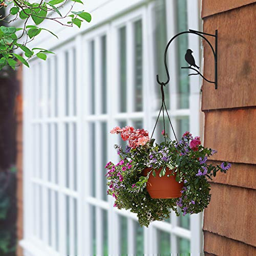 Soporte Para Colgar Plantas Brave Snail, 10 Pulgadas, Paquet