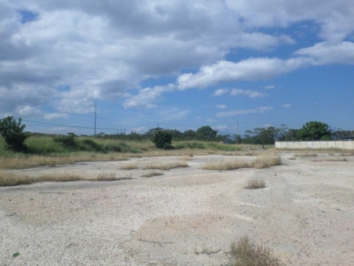 Imagen 4 de 30 de Terrenos En Venta Quíbor Jimenez 22-11866 #m