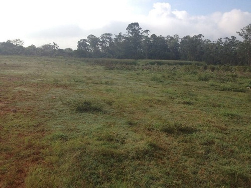 Imagem 6 de 6 de Terreno Para Venda, 0.0 M2, Jardim Revista - Suzano - 1794