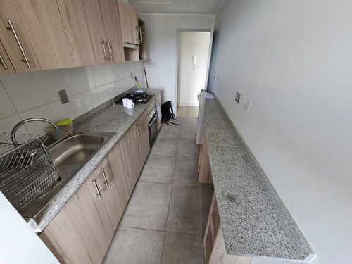 Arriendo Departamento En Fuentes Las Palmas, Concepción.