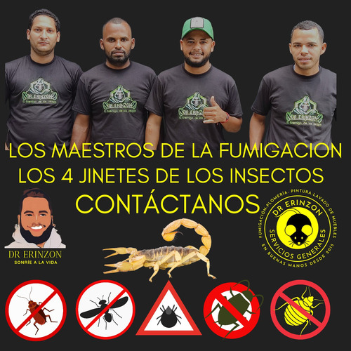 Imagen 2 de 5 de Limpieza De Muebles, Alfombras Y Fumigación En General.