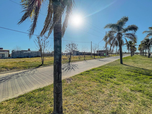 Imagen 6 de 10 de Lote Imperdible Sobre Boulevard Principal