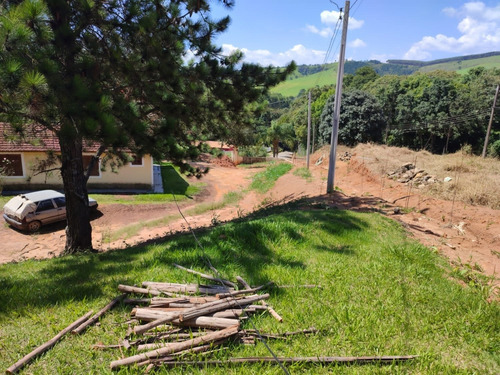 Imagem 11 de 14 de Chácara 9000m2, Casa Sede Com 3 Dormitórios, 1 Suíte, Casa De Caseiro Com 1 Dormitório, Área De Lazer Com Churrasqueira E Forno Pão/pizza - Ch00213 - 70645551