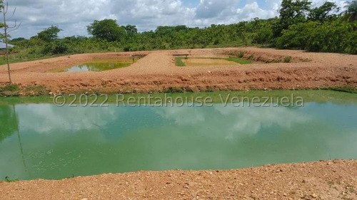 Imagen 9 de 30 de Finca Productora (ganado Levante) En San Carlos 23-416 //invierta Seguro Con Rentahouse//