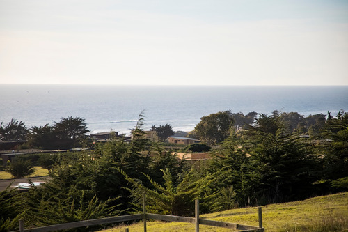 Vista Horizonte Punta De Lobos