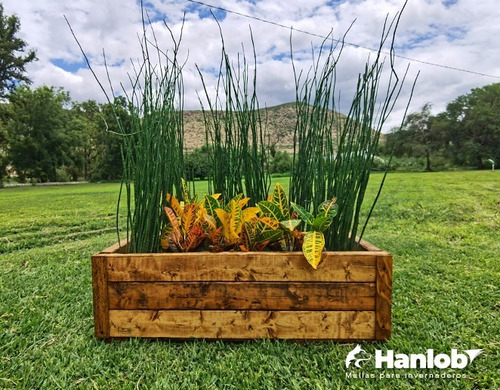 Imagen 3 de 6 de Maceta De Madera Tipo Jardinera De Barrote Grueso Color Roble