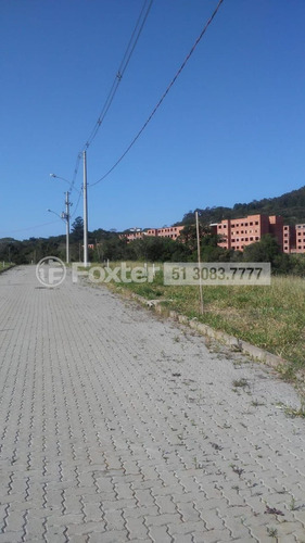 Imagem 5 de 21 de Terreno, 229.5 M², Campo Novo - 190370
