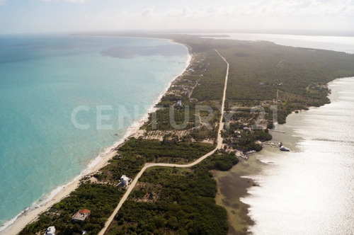 Imagen 15 de 22 de Terreno Con Hermosa Playa Para Desarrolladores En Isla Blanca Cancún C2509