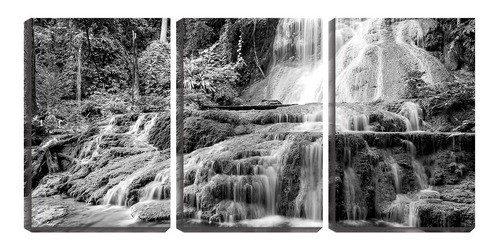 Quadro Canvas 68x126 Cachoeira Pb Entre Pedras