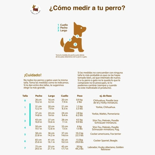 Chal Unitalla Para Mujer Y Jorongo Azul Para Mascotas