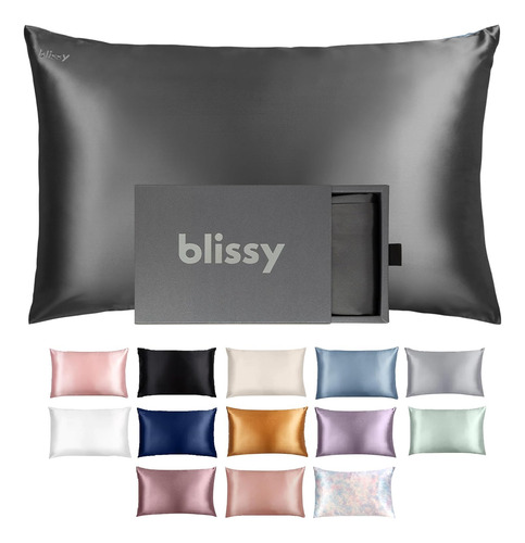Funda De Almohada De Seda Blissy - 100% Seda De Morera 22 Mo