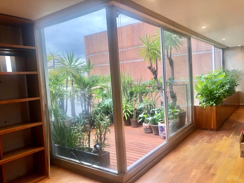 Imagen 6 de 15 de Penthouse Con Terraza
