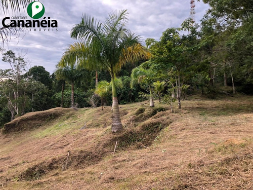 Ótimo Terreno A Venda - 9.000m2 Com Vista Panorâmica - Bairro Morro São João - Cananéia/sp - Te00048 - 68497510