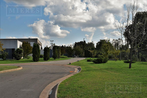 Imagen 12 de 14 de Terreno De 685 Mts. En Ayres Plaza