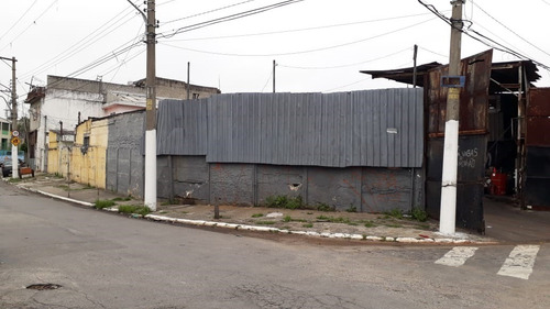Imagem 3 de 5 de Terreno À Venda, Jardim Modelo - São Paulo/sp - 1300