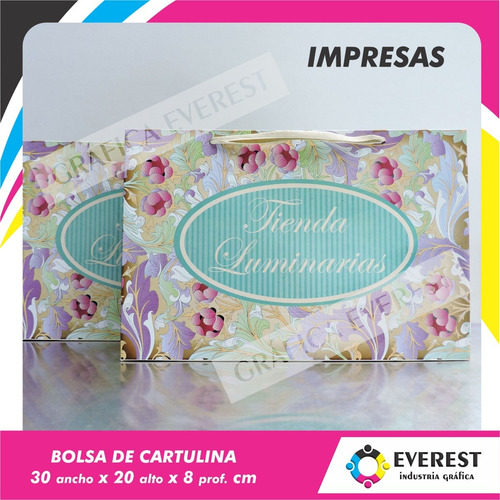 Bolsas De Cartulina 30x20x8 X 250u Impresas Offset 1 Color