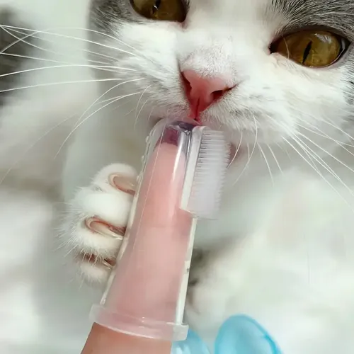 Cepillo De Dientes Para Perro Y Gatos Cepillo Dental | MercadoLibre