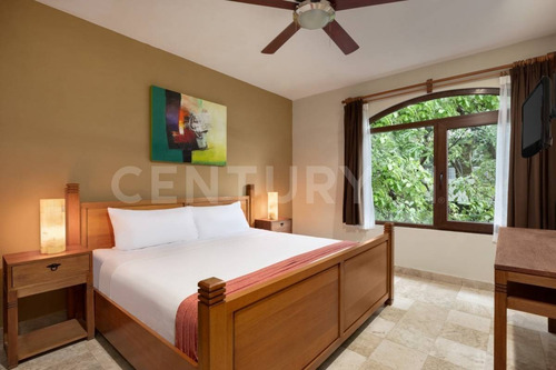 Imagen 16 de 30 de Se Vende Hotel Boutique 34 Cuartos Cerca De La 5ta Avplaya Del Carmen P3824