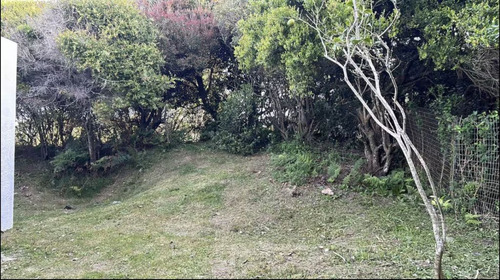 Guayabo 6 En Arachania A Pocos Metros Del Mar En La Paloma