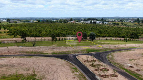 Terreno En Los Olivos De Los Horneros - Reventa Etapa 1