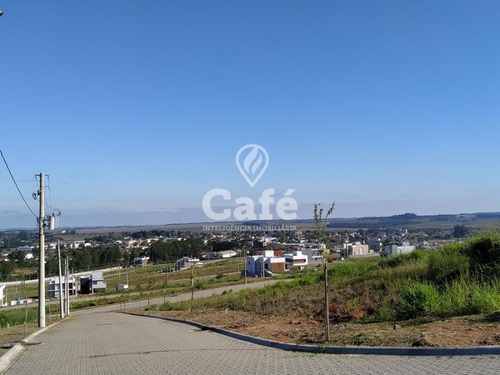Imagem 7 de 30 de Terreno 12 X 25 Metros Real Park - 2855