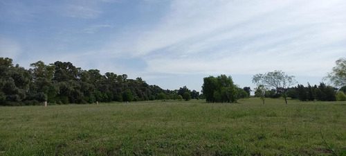 Imagen 6 de 8 de Venta-terreno - Medal Country Club-pilar