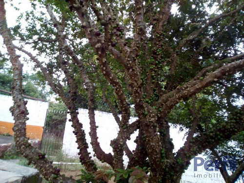 Imagem 3 de 13 de Área Rural - Sítio - 2370