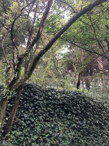 Terreno En Venta En Contadero