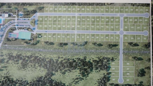 Terreno À Venda Em Ratones - Te007728