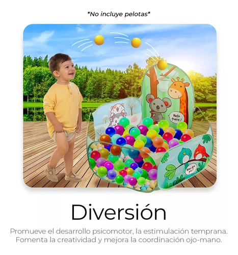 Alberca Para Pelotas Para Niños