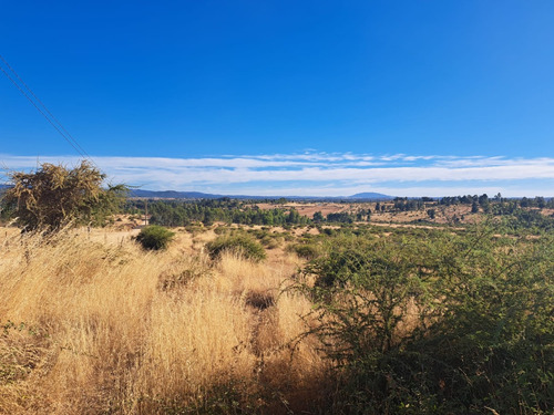 Terreno De 50.000 Mt2 / Cauquenes, Región Del Maule.