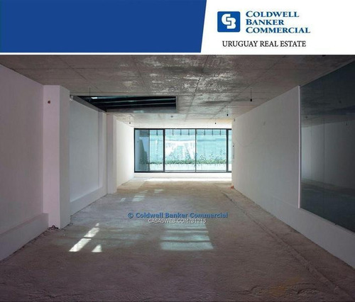 Local Comercial Punta Carretas Venta Con Renta