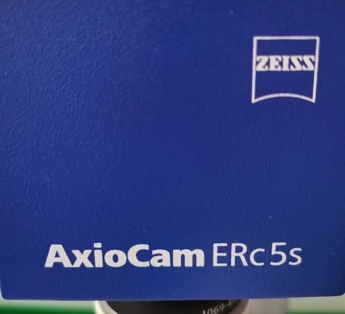 Microscopio Triocular Contraste Fases Zeiss + Camara Erc5s (Usado)