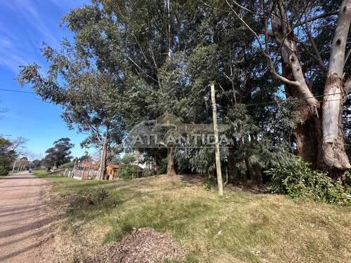 Excelente Oportunidad De Terreno En Venta, Ubicado En Atlántida A 3 Cuadras Del Centro. Inm Atlántida