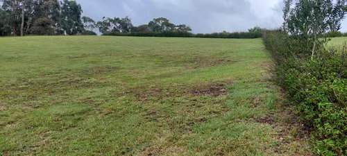 Lote En Venta En Llanogrande. Cod V11916