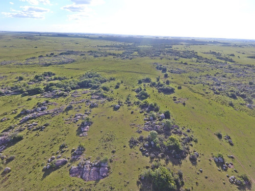 236hás Campo Criador En Florida