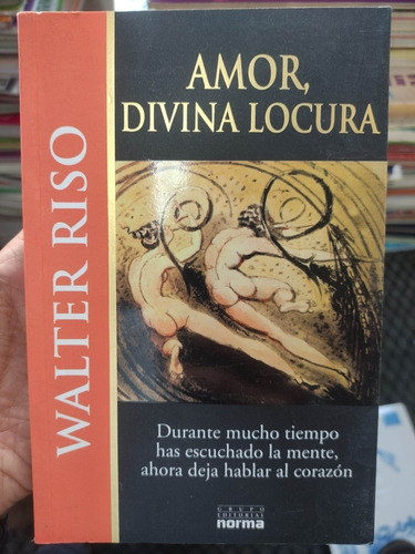 Amor, Divina Locura - Walter Riso - Libro Original Usado 