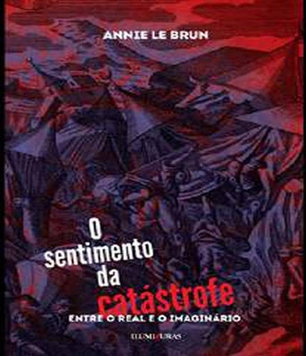 Livro Sentimento Da Catastrofe, O