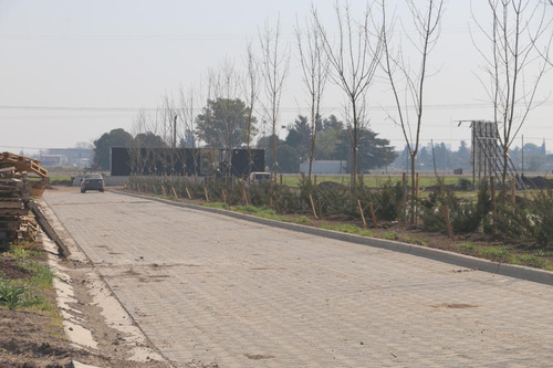 Imagen 13 de 28 de Ecotierra Sur - 300 M2