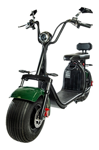 Imagem 1 de 14 de Scooter Eletrica 1500 Gloov