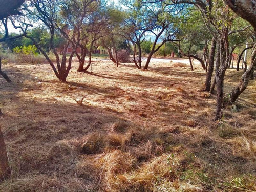 Imagen 5 de 11 de Terrenos O Lotes Venta Carpintería